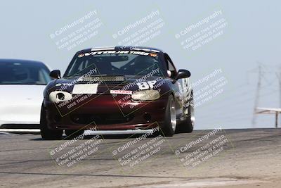 media/Sep-14-2024-Speed Ventures (Sat) [[a2bf28f496]]/Yellow Group/Session 2 (Grapevine)/